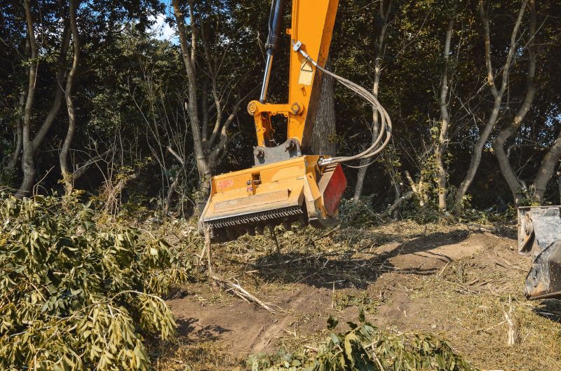 Undergrowth Removal in Salt Lake City, UT