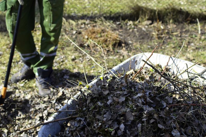 Brush Clearing Service in Salt Lake City, UT
