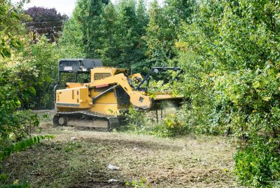 Easement Land Clearing in Katy, TX