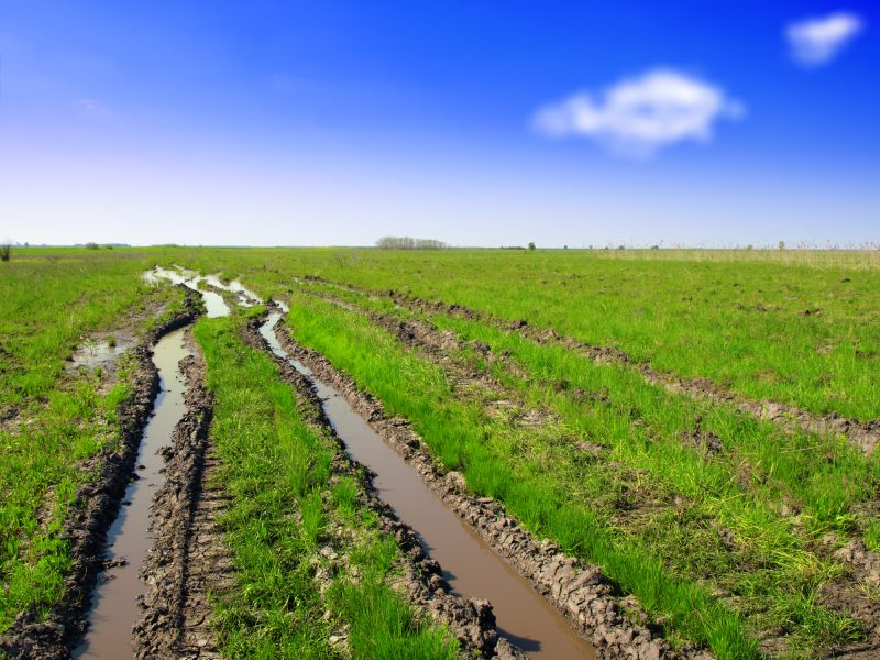 Ground Leveling Service