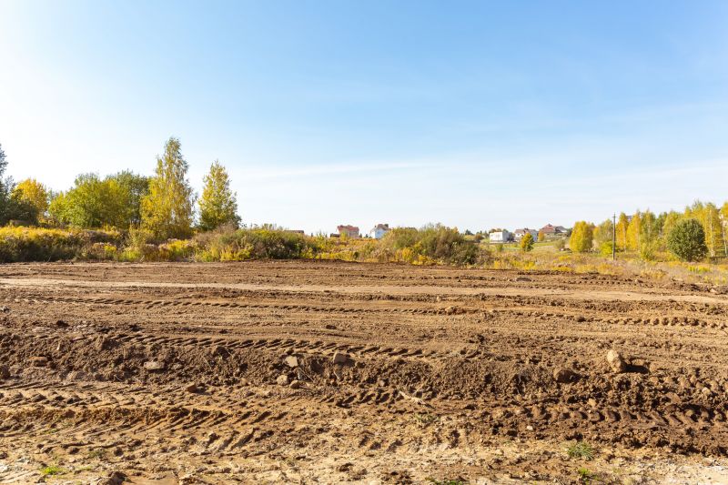 Lakefront Property Clearing in Katy, TX