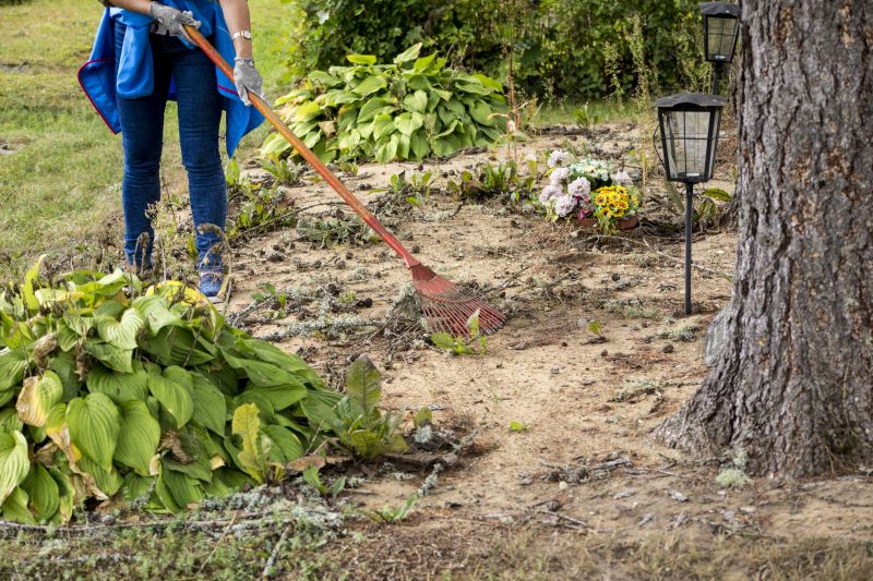 Site Clearing Service in Katy, TX