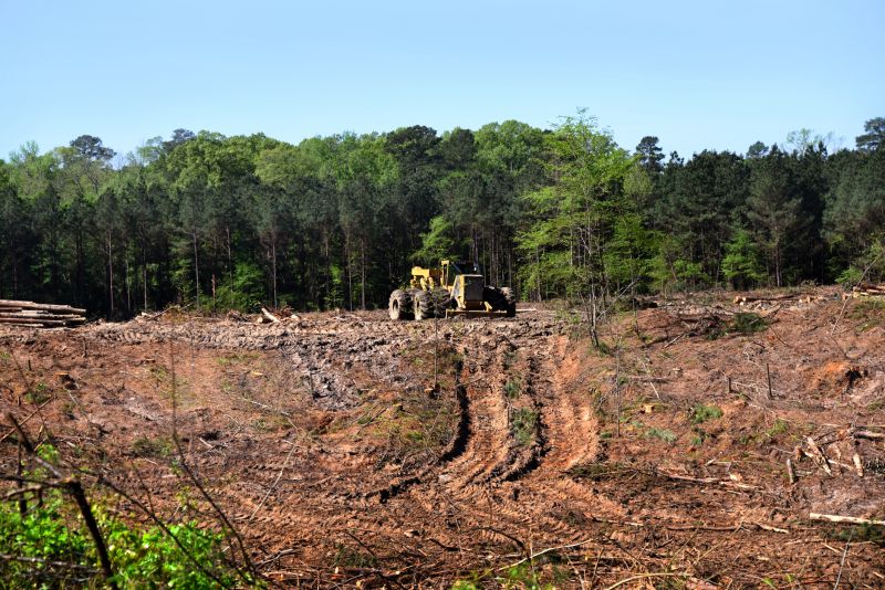 Site Clearing Service in Houston, TX
